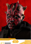 Darth Maul (Prototype Shown) View 22