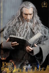 Gandalf the Grey