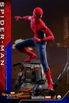 Spider-Man Collector Edition (Prototype Shown) View 2