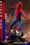 Spider-Man Collector Edition (Prototype Shown) View 3