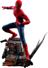 Spider-Man Collector Edition (Prototype Shown) View 16