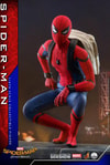 Spider-Man (Special Edition) Exclusive Edition (Prototype Shown) View 5