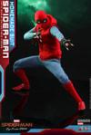 Spider-Man (Homemade Suit)- Prototype Shown