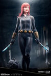 Black Widow (Prototype Shown) View 1