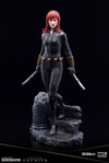Black Widow (Prototype Shown) View 2