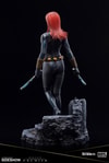 Black Widow (Prototype Shown) View 4