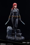 Black Widow (Prototype Shown) View 8