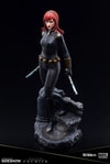 Black Widow (Prototype Shown) View 10