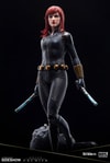 Black Widow (Prototype Shown) View 11