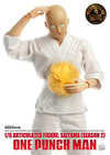 Saitama (Deluxe Version) (Prototype Shown) View 4