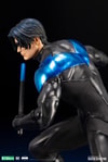 Nightwing (Prototype Shown) View 11