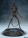 Xenomorph (Prototype Shown) View 1