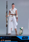 Rey and D-O (Prototype Shown) View 11