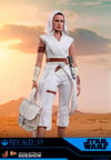 Rey and D-O (Prototype Shown) View 2