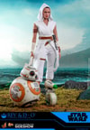 Rey and D-O (Prototype Shown) View 10