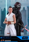 Rey and D-O (Prototype Shown) View 9