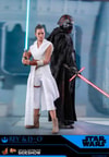Rey and D-O (Prototype Shown) View 8