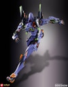 EVA-01 Test Type (Prototype Shown) View 24