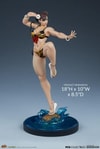 Chun-Li: Player 2 Battle- Prototype Shown