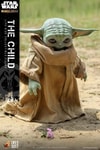 The Child (Prototype Shown) View 18