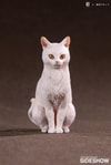 Dragon & Cat- Prototype Shown