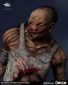 The Hillbilly (Prototype Shown) View 22