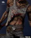 The Hillbilly (Prototype Shown) View 21