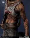 The Hillbilly (Prototype Shown) View 19