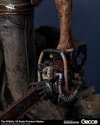 The Hillbilly (Prototype Shown) View 17