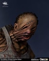 The Hillbilly (Prototype Shown) View 2