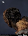 The Hillbilly (Prototype Shown) View 6