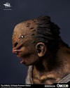 The Hillbilly (Prototype Shown) View 5