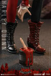 Harley Quinn- Prototype Shown