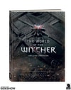 The World of The Witcher (Prototype Shown) View 4