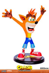 Crash Bandicoot (Prototype Shown) View 5