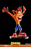 Crash Bandicoot (Prototype Shown) View 10