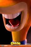 Crash Bandicoot (Prototype Shown) View 13