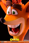Crash Bandicoot (Prototype Shown) View 14