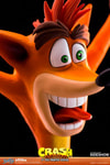 Crash Bandicoot (Prototype Shown) View 15
