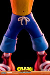 Crash Bandicoot (Prototype Shown) View 16