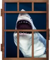 Michael Muller. Sharks (Prototype Shown) View 16