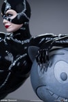 Catwoman Collector Edition - Prototype Shown