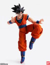 Son Goku (Prototype Shown) View 6