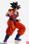 Son Goku (Prototype Shown) View 8