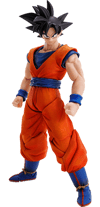 Son Goku (Prototype Shown) View 10