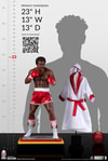 Apollo Creed (Rocky II Edition) Collector Edition (Prototype Shown) View 22