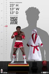 Apollo Creed: Master of Disaster (Prototype Shown) View 22