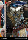 Aloy Shield Weaver Armor Set