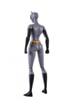 Catwoman- Prototype Shown