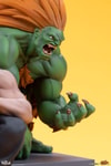 Blanka & Fei Long (Prototype Shown) View 17